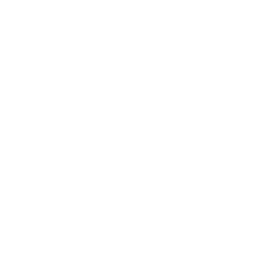 SHINTAIKO Siegel 心体道印